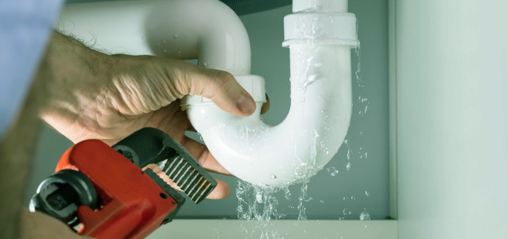 Signs of hidden plumbing leaks